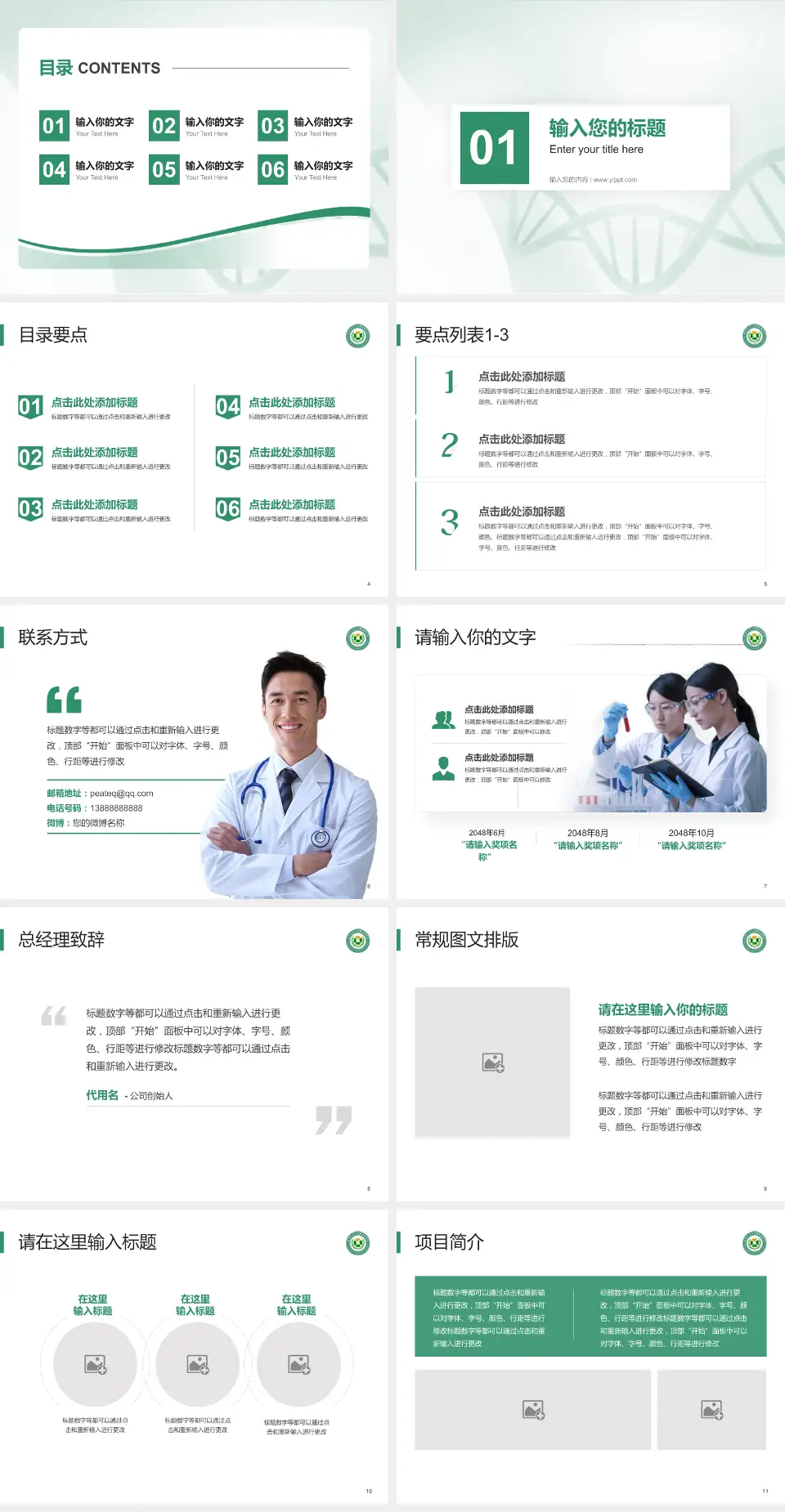 昆明市东川区精神病院项目申请与汇报PPT模板4:3格式幻灯片预览图2