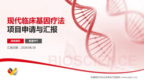 新疆维吾尔自治区维吾尔医医院项目申请与汇报PPT模板