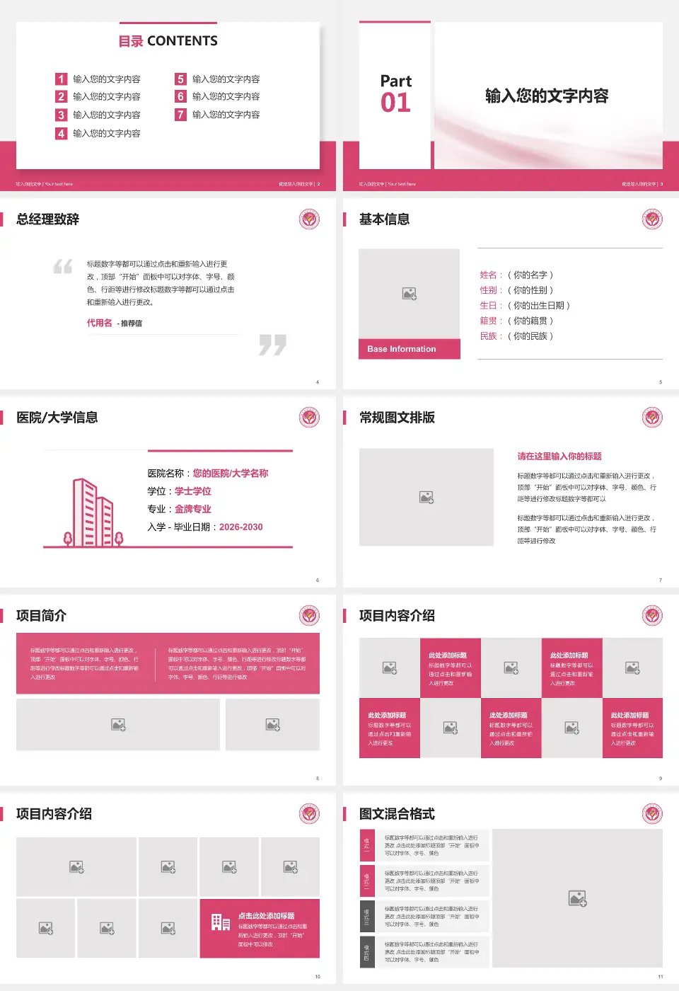 定西市安定区妇幼保健院个人求职应聘简历PPT模板16:9格式幻灯片预览图2