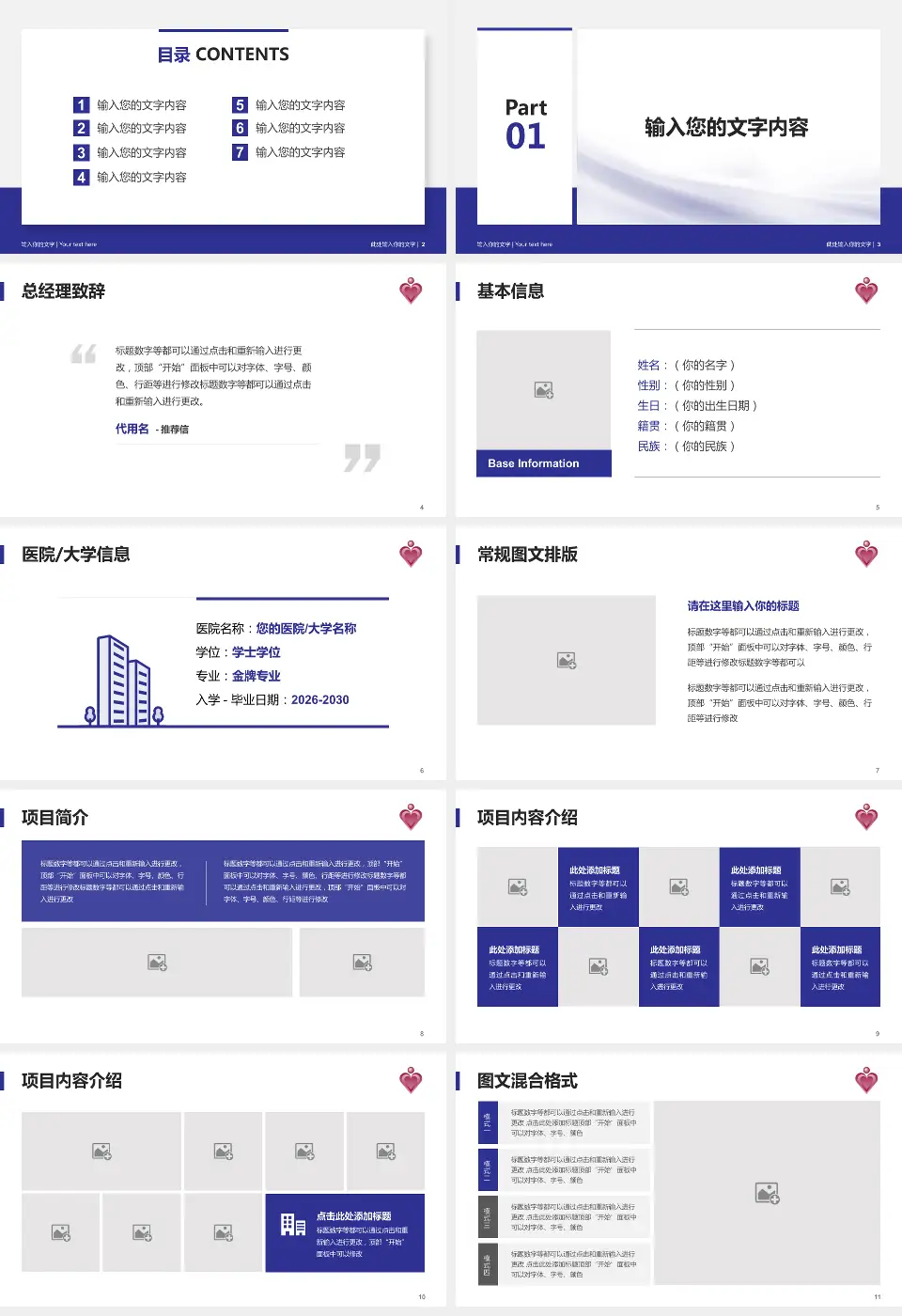 伊利沙伯医院个人求职应聘简历PPT模板16:9格式幻灯片预览图2