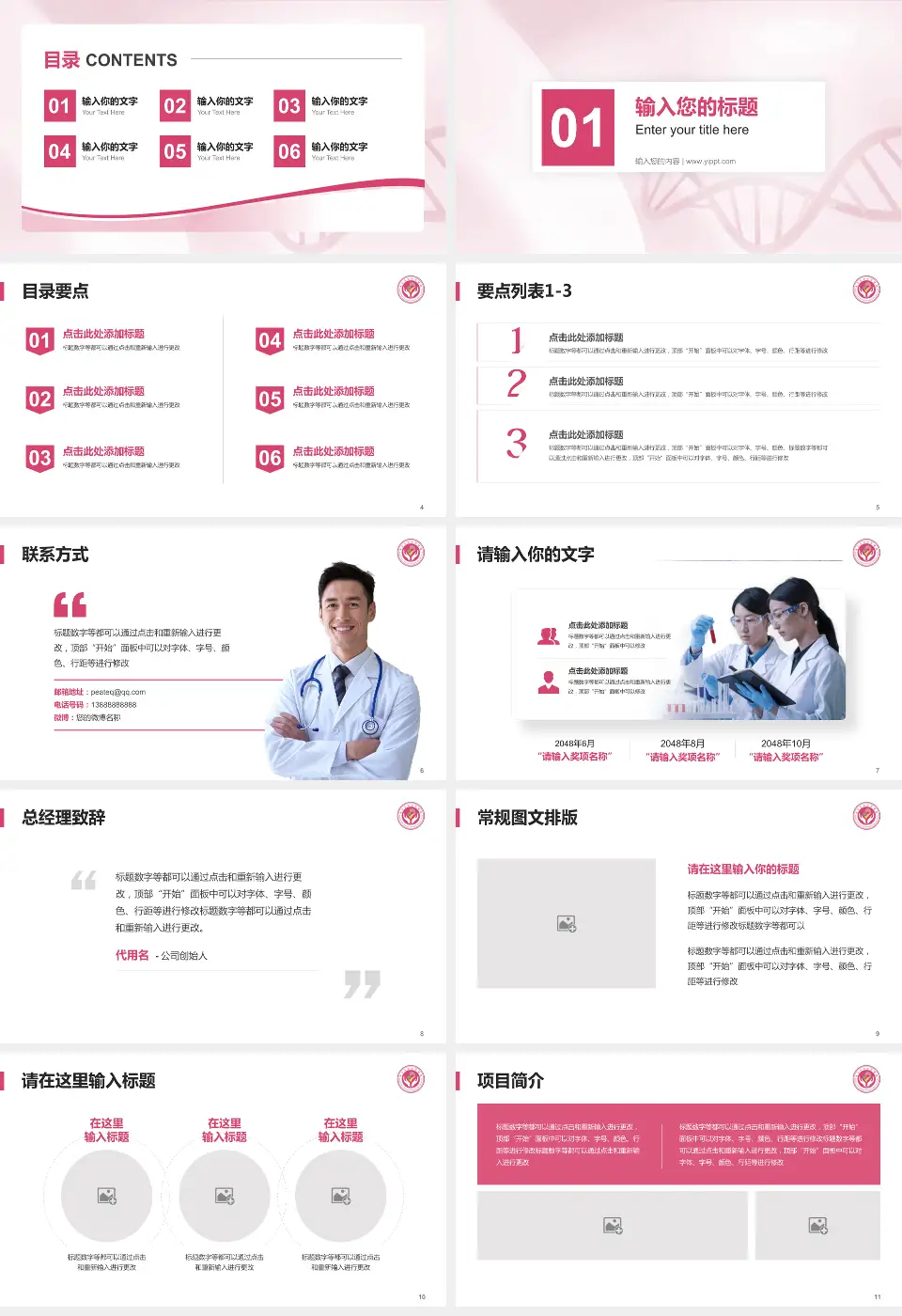 定西市安定区妇幼保健院项目申请与汇报PPT模板16:9格式幻灯片预览图2