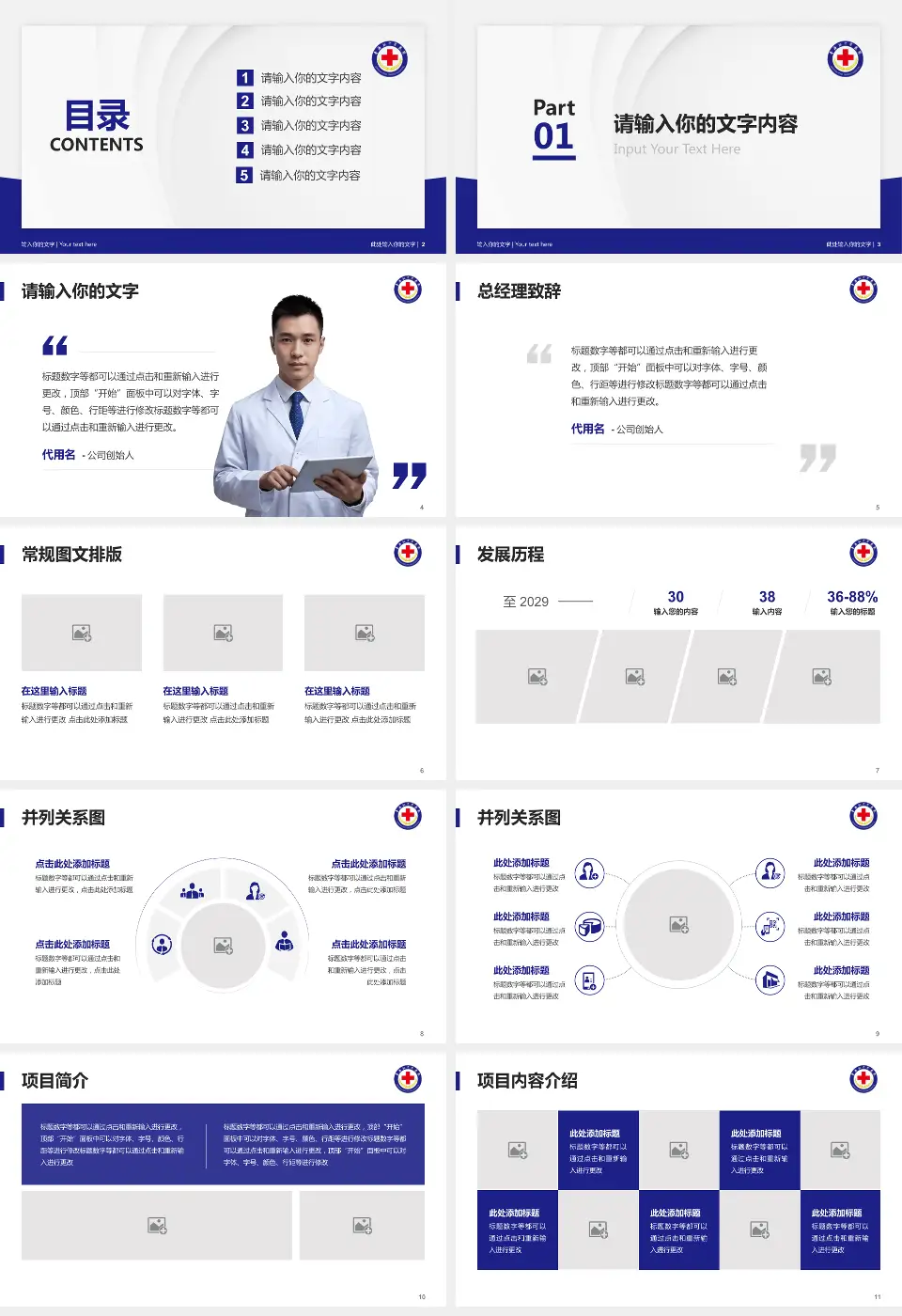 青海红十字医院医院管理报告PPT模板16:9格式幻灯片预览图2