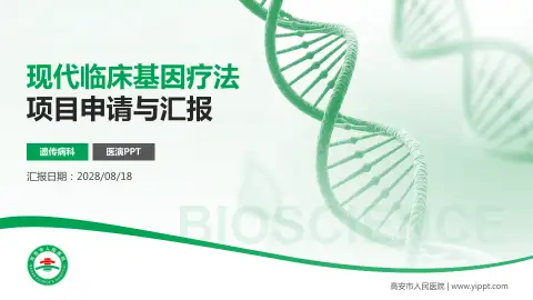 高安市人民医院项目申请与汇报PPT模板