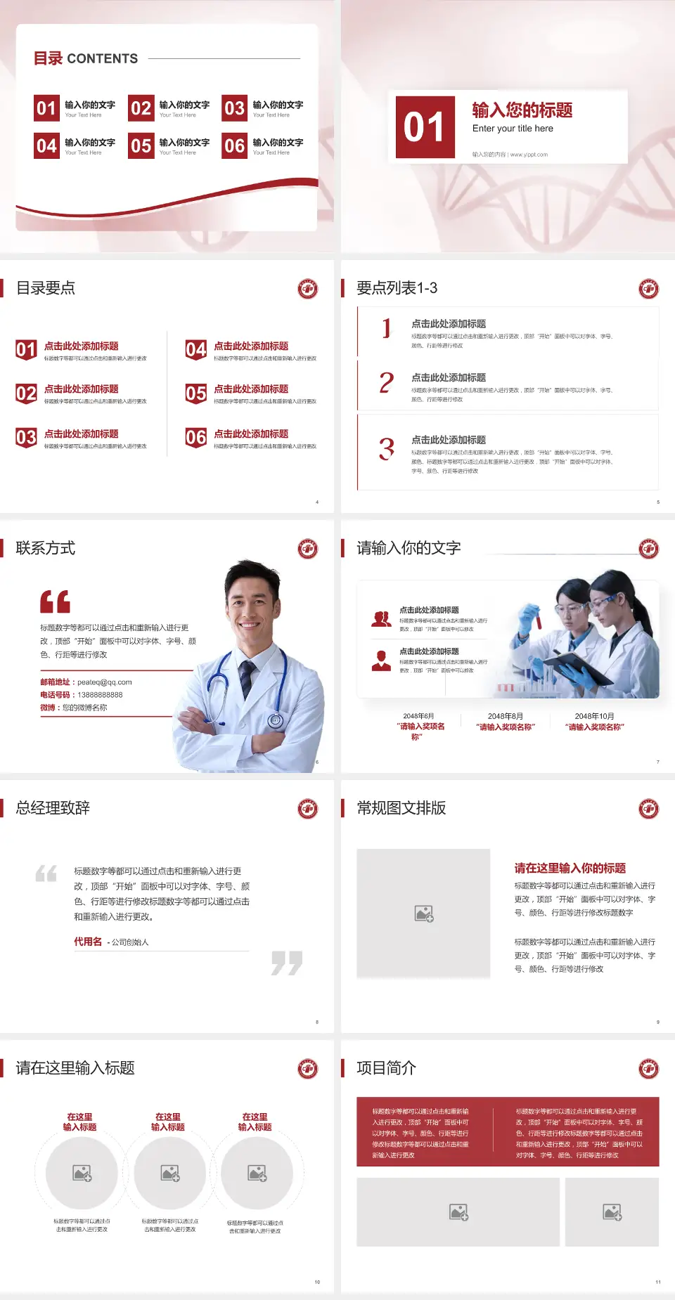 瑞昌市中医院项目申请与汇报PPT模板4:3格式幻灯片预览图2