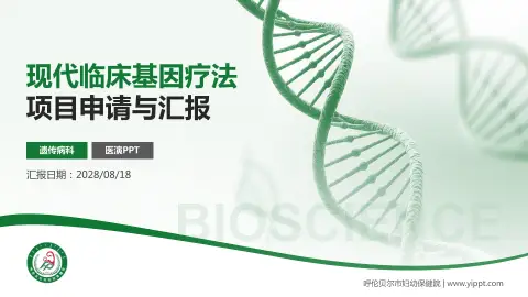 呼伦贝尔市妇幼保健院项目申请与汇报PPT模板