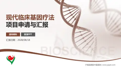 宁城县蒙医中医医院项目申请与汇报PPT模板