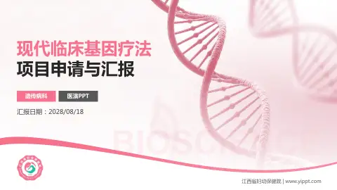 江西省妇幼保健院项目申请与汇报PPT模板
