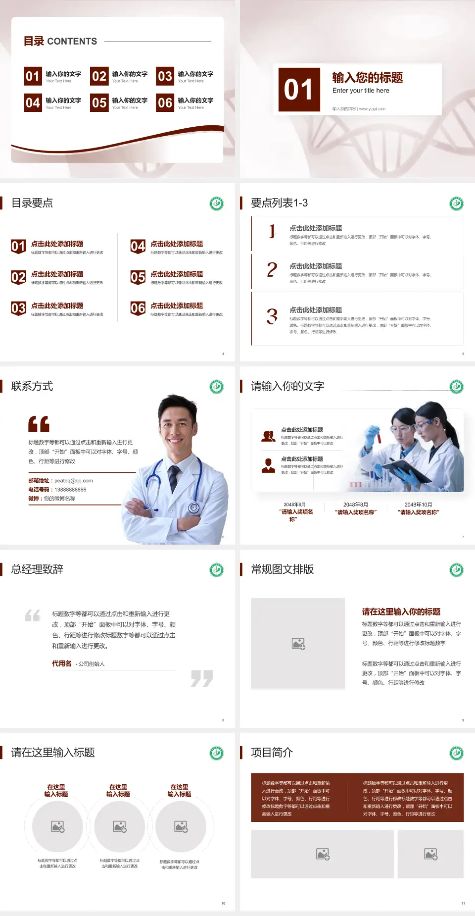 阜新市中医医院项目申请与汇报PPT模板4:3格式幻灯片预览图2