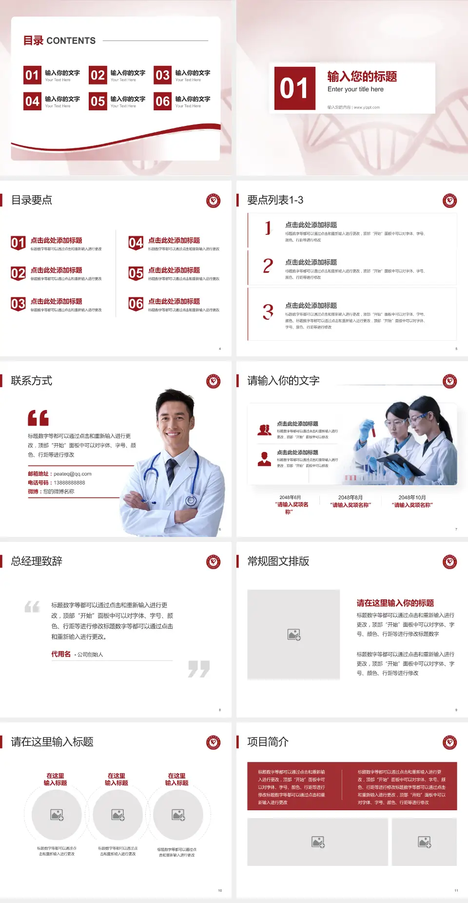 兴国县人民医院项目申请与汇报PPT模板4:3格式幻灯片预览图2