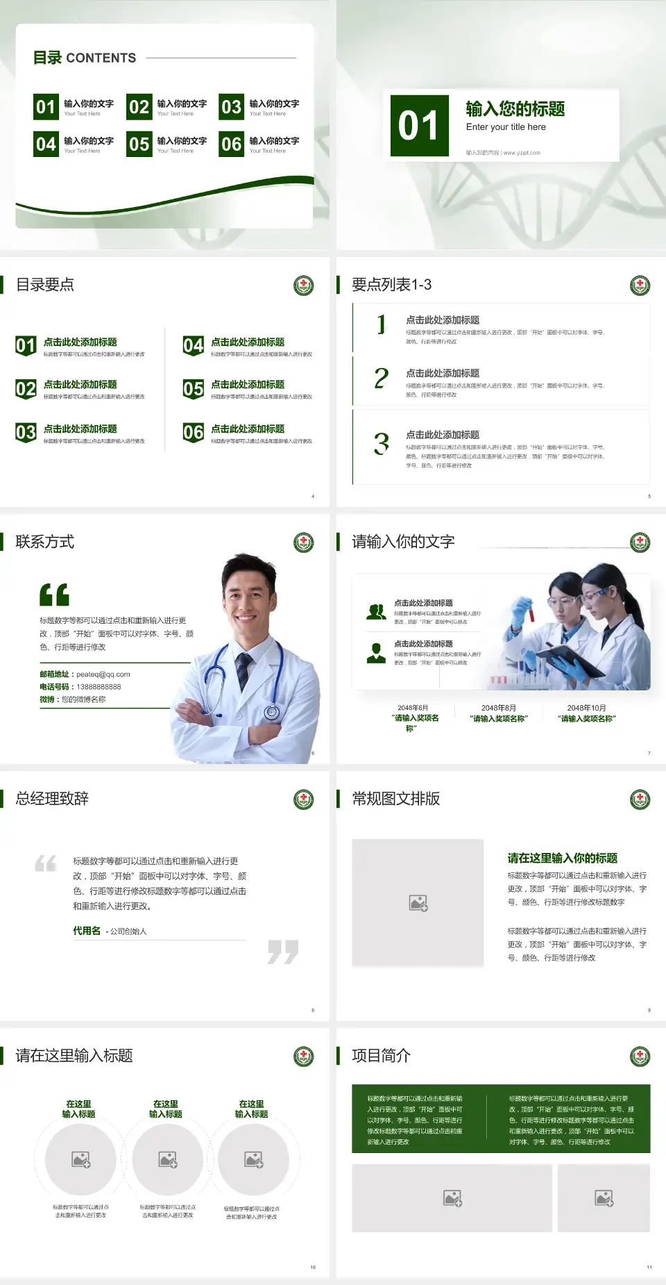 中国人民解放军第九四医院项目申请与汇报PPT模板4:3格式幻灯片预览图2