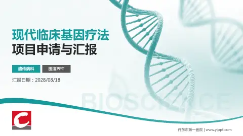 丹东市第一医院项目申请与汇报PPT模板