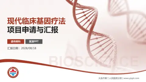 大连市第二人民医院分院项目申请与汇报PPT模板