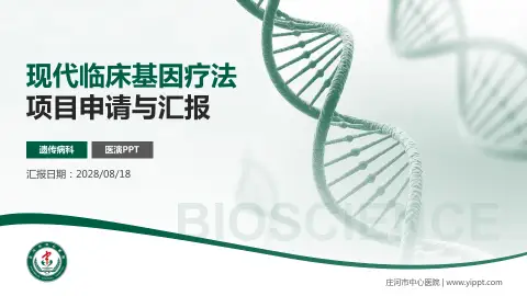 庄河市中心医院项目申请与汇报PPT模板