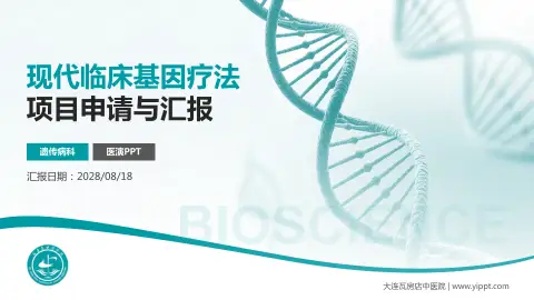 大连瓦房店中医院项目申请与汇报PPT模板