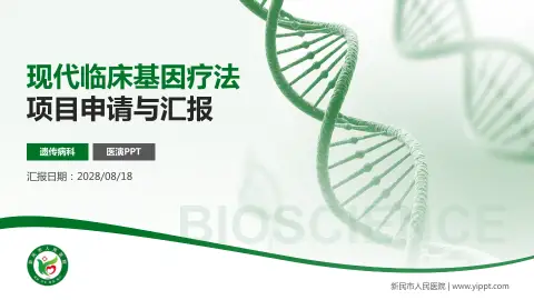 新民市人民医院项目申请与汇报PPT模板