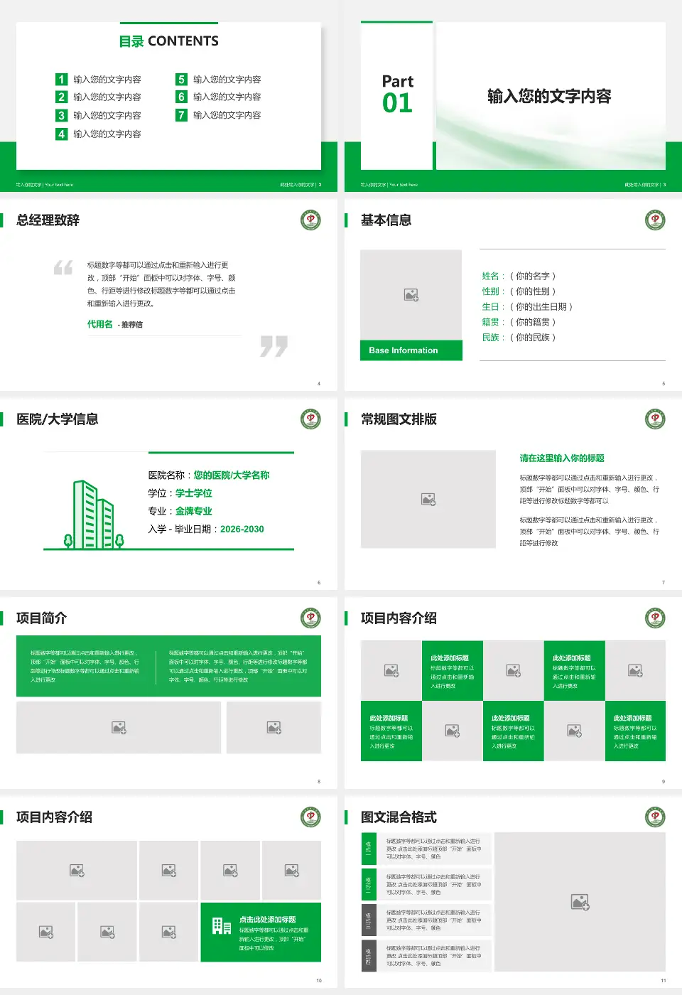 大连市中心医院个人求职应聘简历PPT模板16:9格式幻灯片预览图2